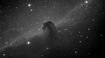 The Horsehead Nebula. Image taken with the PlaneWave telescope.