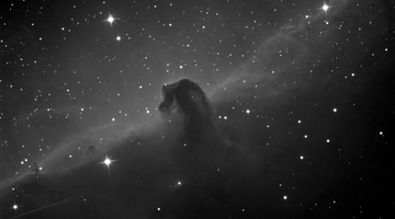 Mgławica Koński Łeb. Zdjęcie wykonane teleskopem PlaneWave.